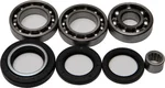 All Balls Racing 25-2008 Differential Bearing & Seal Kit - High-Performance Drive Kit for Off-Road Vehicles