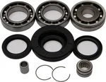 All Balls Racing 25-2013 Differential Bearing & Seal Kit - High-Performance Drive System Replacement