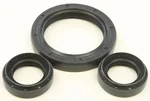 All Balls Racing Drive Differential Seal Kit - Durable Leak-Proof Replacement for ATVs & UTVs