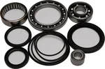 All Balls Racing 25-2033 Differential Bearing & Seal Kit - High-Performance Drive Kit for Powersports Vehicles