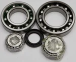 ALL BALLS - 25-2038 - Differential Bearing & Seal Kit