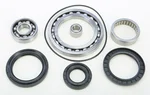 All Balls Racing 25-2045 Differential Bearing & Seal Kit - High-Performance Drive System Replacement