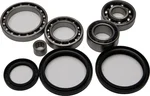 All Balls Racing 25-2051 Differential Bearing & Seal Kit - High-Performance Drive System Replacement