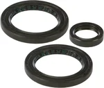 All Balls Racing 25-2056-5 Differential Seal Kit - High-Performance Drive Differential Seal for Off-Road Vehicles