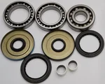All Balls Racing 25-2057 Differential Bearing & Seal Kit - High-Performance Drive System Replacement
