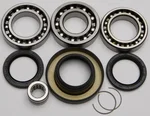All Balls Racing 25-2061 Differential Bearing & Seal Kit - High-Performance Drive System Replacement