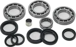 All Balls Racing 25-2065 Drive Differential Bearing & Seal Kit - High-Performance Replacement for Off-Road & Racing Vehicles