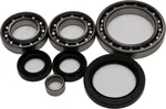 All Balls Racing 25-2073 Differential Bearing & Seal Kit - High-Performance Drive System Replacement