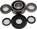 All Balls Racing 25-2075 Differential Bearing & Seal Kit - High-Performance Drive System Replacement