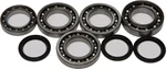All Balls Racing 25-2077 Drive Differential Bearing & Seal Kit - Durable, High-Performance Replacement