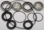 All Balls Racing 25-2093 Differential Bearing & Seal Kit - High-Performance Drive System Replacement