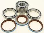 All Balls Racing 25-2098 Differential Bearing & Seal Kit - High-Performance Drive System Replacement
