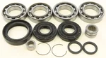 All Balls Racing 25-2100 Differential Bearing & Seal Kit - High-Performance Drive System Replacement
