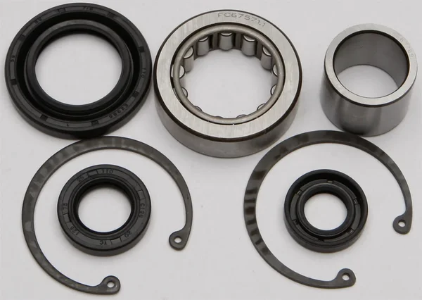 All Balls Racing 25-3101 Inner Primary Ball Bearing & Seal Kit - High-Performance Drive Component
