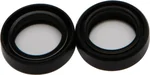 All Balls Racing 55-100 Fork Seal Kit - Premium Suspension Seal for Durable Performance