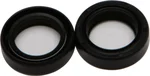 All Balls Racing 55-101 Fork Seal Kit - Durable Suspension Seals for Enhanced Bike Performance