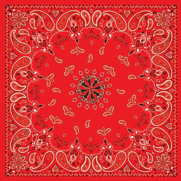 ZAN B003 Bandanna - Durable Headgear for Riders