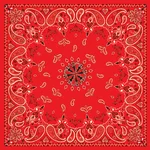 ZAN B003 Bandanna - Durable Headgear for Riders