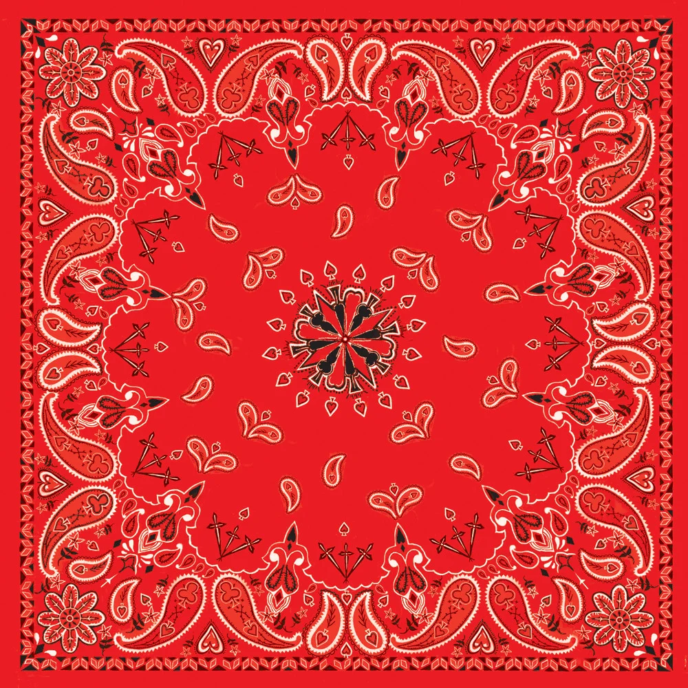 ZAN B003 Bandanna - Durable Headgear for Riders