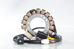 RICKS - 21-919 - Stator