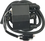 SP1 Polaris External Coil - High-Performance Electrical Component for Powersports Vehicles