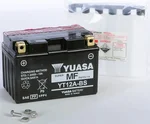 YUASA YUAM32ABS AGM Maintenance-Free Battery - High-Capacity Power for Powersports