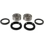 Pivot Works PWFWK-H20-003 Drive Wheel Bearing Kit - Durable, Low Maintenance, High Performance