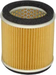 HIFLOFILTRO HFA2910 Air Filter - High-Flow Replacement for Power Sports Engines