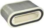 HIFLOFILTRO HFA4910 High-Flow Air Filter for High-Performance Engines