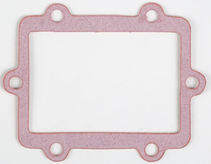 BOYESEN RG-02A Rad Valve Gasket - High-Performance Gasket for Powersports Engines