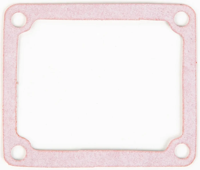 BOYESEN RG-31 Rad Valve Gasket - High-Quality Gasket for Powersports Engines