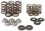 Hot Cams SKYFM660S2 Camshaft Valve Spring Kit - High-Performance Engine Upgrade