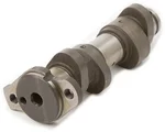 Hot Cams 4100-1 Racing Camshaft - ITR Technology for Maximum Power & Throttle Response