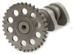 Hot Cams 2251-2IN Racing Camshaft - ITR Technology for Maximum Power & Throttle Response