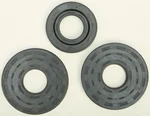 Vertex Crankshaft Seal Kit - High-Performance Gasket for Powersports Engines