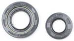 ProX 42.2321 Crank Seal Kit - Durable Oil Seal for 2-Stroke Engines