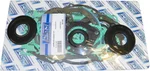 WSM 007-606 Complete Engine Gasket Kit - Premium Sealing Solution for High-Performance Engines