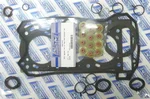 WSM Top End Gasket Kit - High-Quality Engine Gasket Replacement for Powersports Vehicles