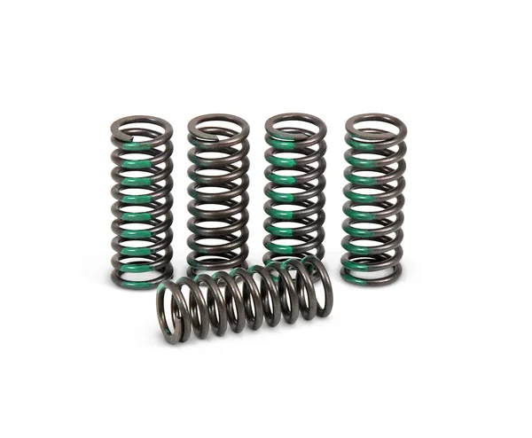 PRO CIRCUIT - CSK10250-CS - High Performance Clutch Springs