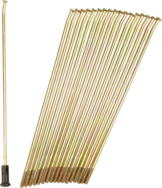 PRO-WHEEL - 19-G205203-2 - Double Butted Spokes