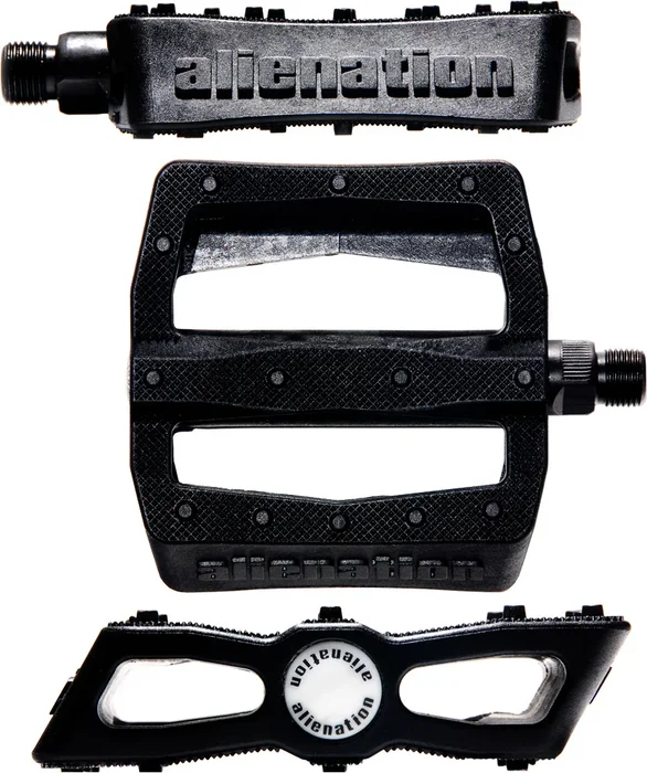 ALIENATION - A061-0005 - ALIENATION 91-9299K