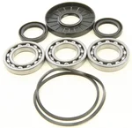 ALL BALLS - 25-2105 - Differential Bearing & Seal Kit