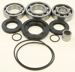ALL BALLS - 25-2106 - Differential Bearing & Seal Kit