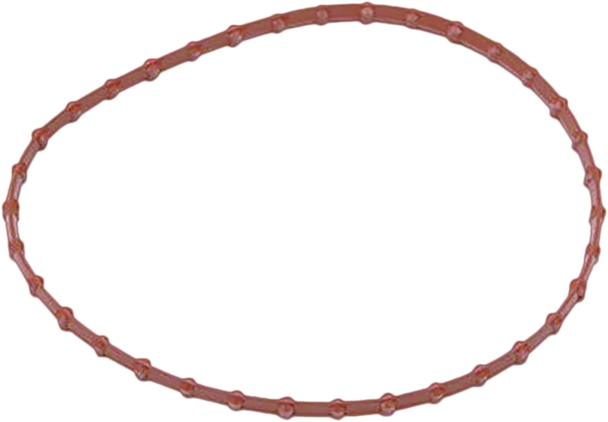 HARDDRIVE - 022253 - Fuel Pump Door Gasket