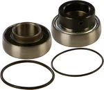 All Balls Racing 14-1008 Drive Chaincase Bearing & Seal Kit – Durable, High-Performance Replacement for Powersports Vehicles