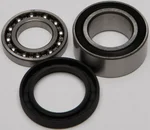 All Balls Racing 14-1010 Chaincase Bearing & Seal Kit - High-Performance Drive Component