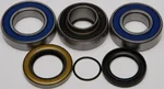All Balls Racing 14-1043 Drive Chaincase Sealed Bearing & Seal Kit - Durable, Low Maintenance, High Performance
