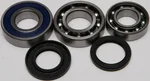 All Balls Racing 14-1060 Chaincase Bearing & Seal Kit - High-Performance Drive System Replacement