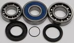 All Balls Racing 14-1067 Chaincase Bearing & Seal Kit - Durable Drive System Replacement