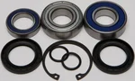 All Balls Racing Chaincase Bearing & Seal Kit - Durable Drive System Replacement